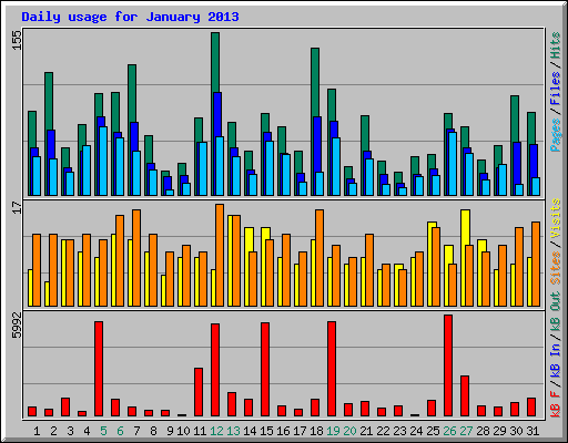 Daily usage for January 2013