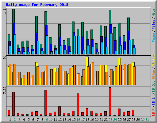 Daily usage for February 2013