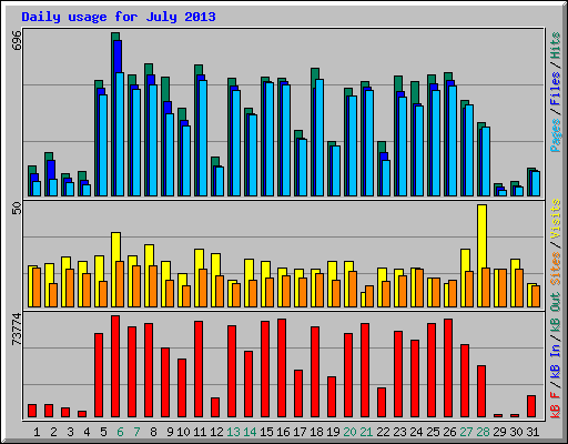 Daily usage for July 2013