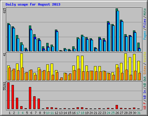 Daily usage for August 2013