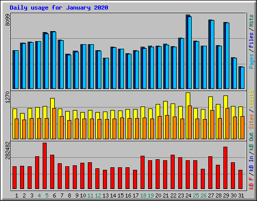 Daily usage for January 2020