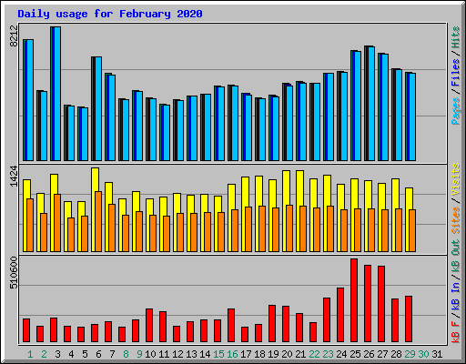 Daily usage for February 2020