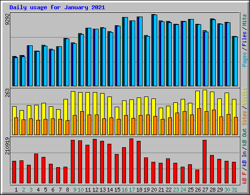 Daily usage for January 2021