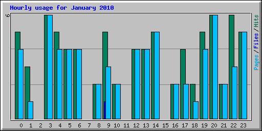 Hourly usage for January 2010