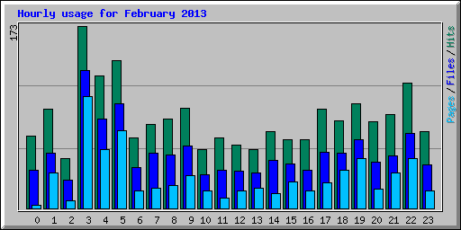 Hourly usage for February 2013