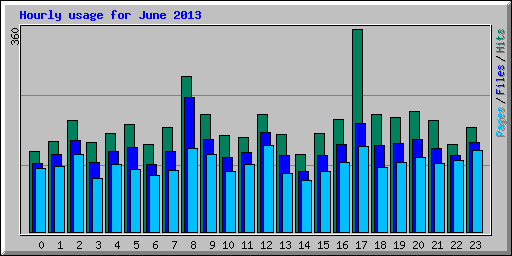 Hourly usage for June 2013