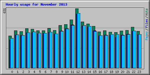 Hourly usage for November 2013