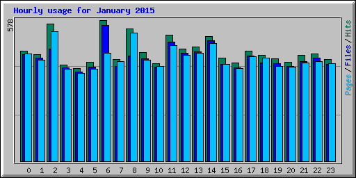 Hourly usage for January 2015