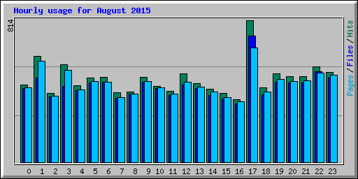 Hourly usage for August 2015