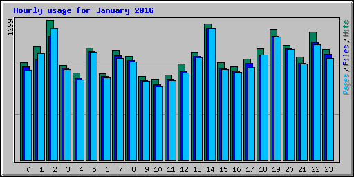 Hourly usage for January 2016