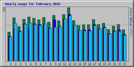 Hourly usage for February 2016