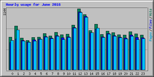 Hourly usage for June 2016