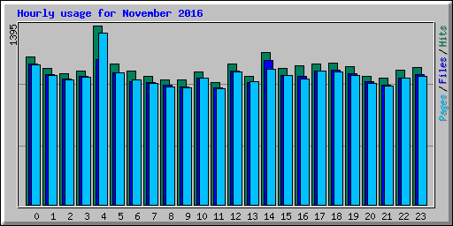 Hourly usage for November 2016