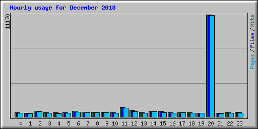 Hourly usage for December 2018