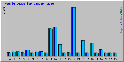 Hourly usage for January 2019