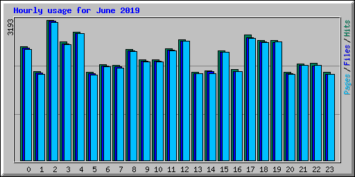 Hourly usage for June 2019