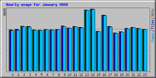 Hourly usage for January 2020