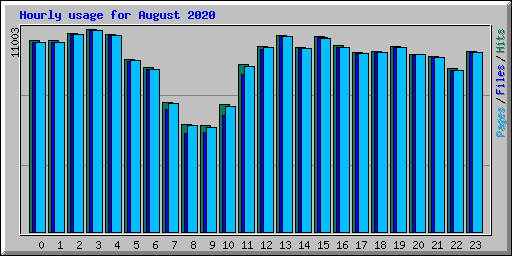 Hourly usage for August 2020