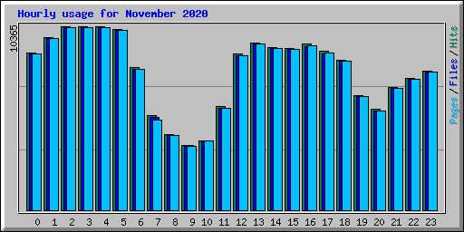 Hourly usage for November 2020