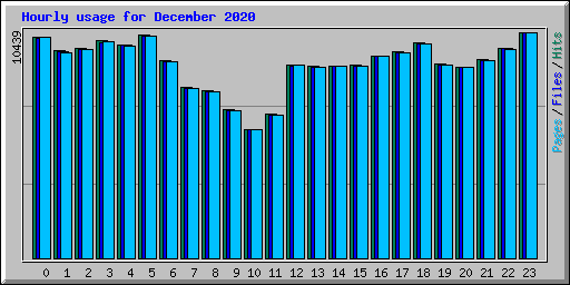 Hourly usage for December 2020