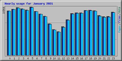 Hourly usage for January 2021