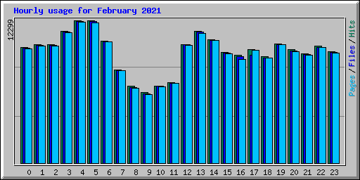 Hourly usage for February 2021