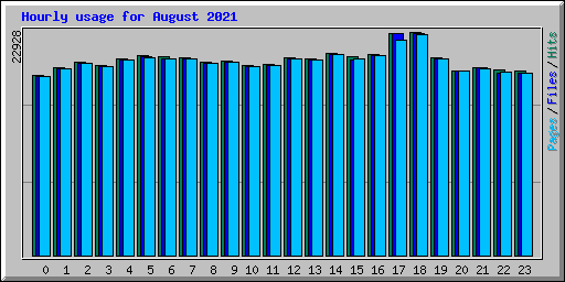 Hourly usage for August 2021